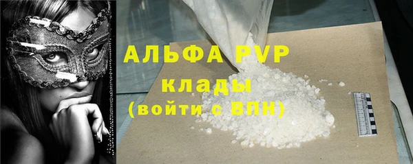 прущие грибы Белоозёрский