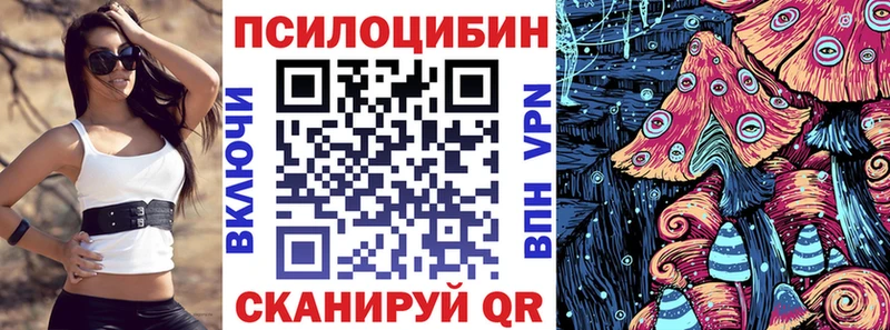 Купить закладки  Дятьково  Псилоцибиновые грибы Cubensis 